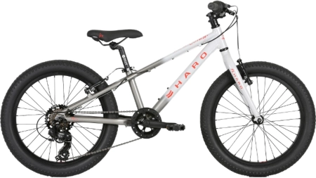 Haro Flightline 20 Plus Grey/Charcoal Fade